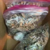 A-Magic-Psilocybin-Mushroom-in-bags