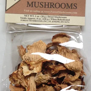 Magic Mushroom - Dried