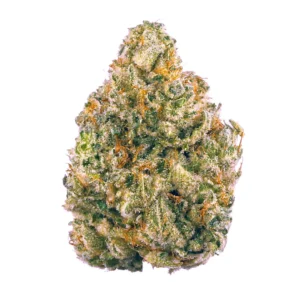 AK 47 marijuana strain