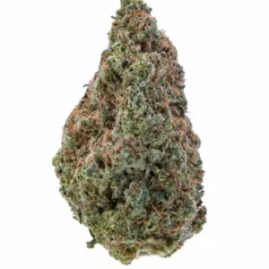 Acapulco gold weed strain