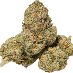 Apple fritters weed strain