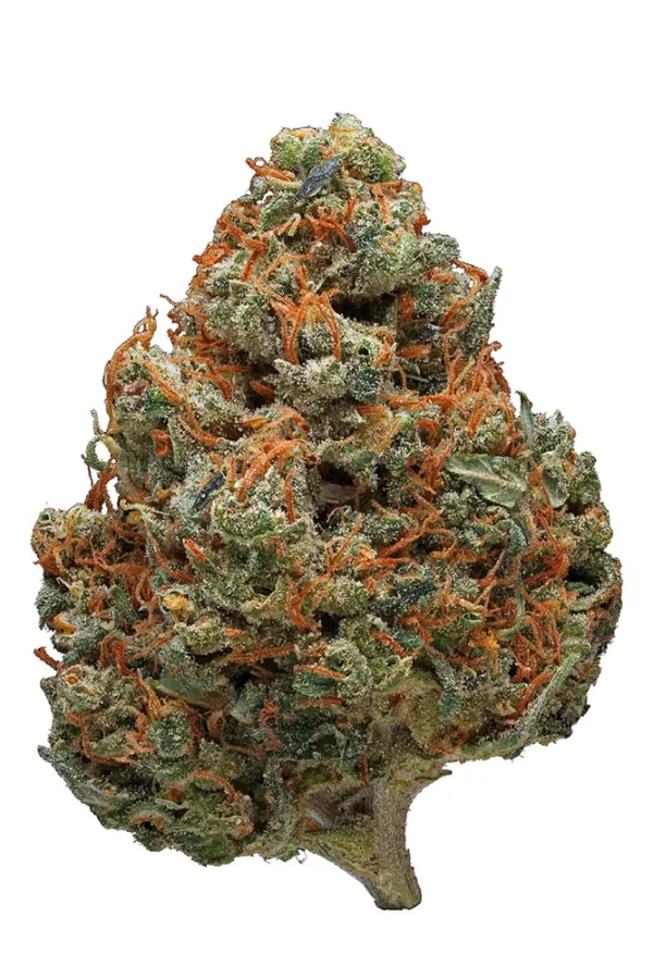 Durban poison weed strain