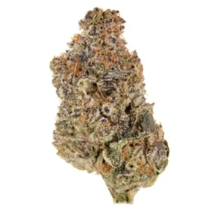 Purple haze weed flower